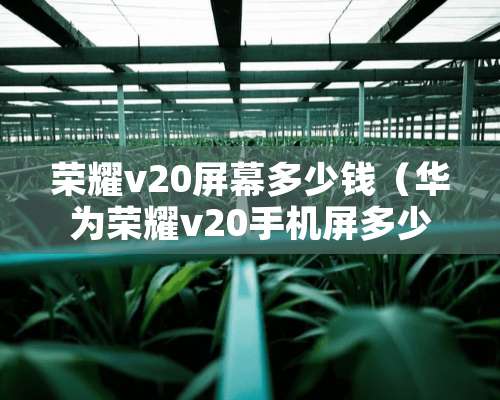 荣耀v20屏幕多少钱（华为荣耀v20手机屏多少钱）