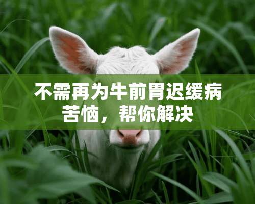 不需再为牛前胃迟缓病苦恼，帮你解决