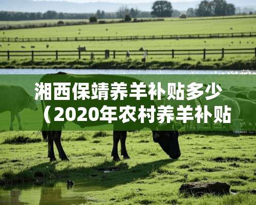 湘西保靖养羊补贴多少（2020年农村养羊补贴申请时间）