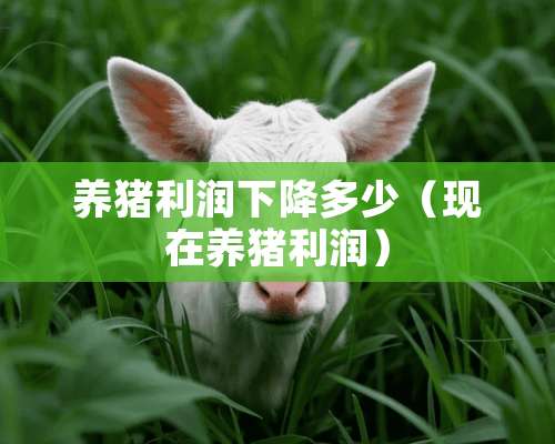 养猪利润下降多少（现在养猪利润）