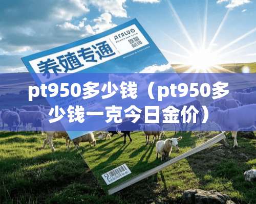 pt950多少钱（pt950多少钱一克今日金价）