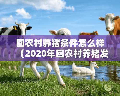 回农村养猪条件怎么样（2020年回农村养猪发展怎么样）