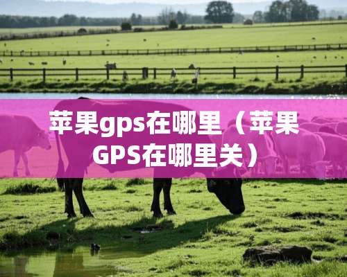 苹果gps在哪里（苹果GPS在哪里关）