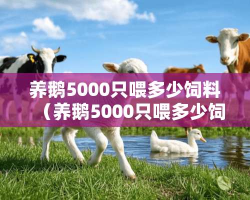 养鹅5000只喂多少饲料（养鹅5000只喂多少饲料合适）