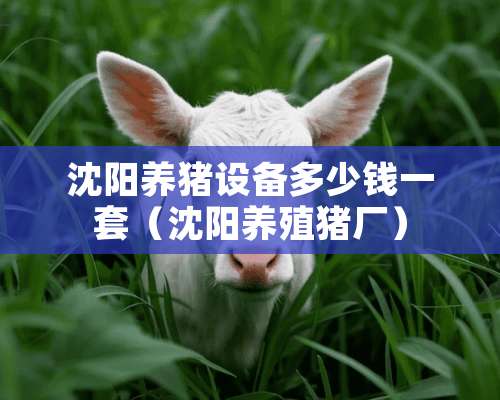 沈阳养猪设备多少钱一套（沈阳养殖猪厂）