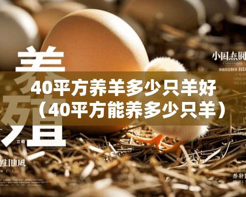 40平方养羊多少只羊好（40平方能养多少只羊）