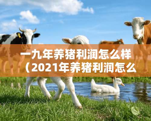 一九年养猪利润怎么样（2021年养猪利润怎么样）