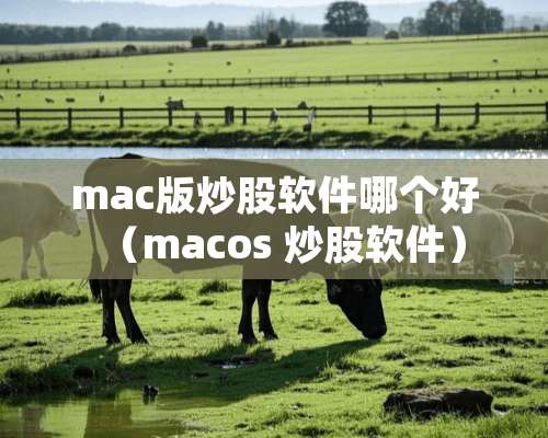 mac版炒股软件哪个好（macos 炒股软件）