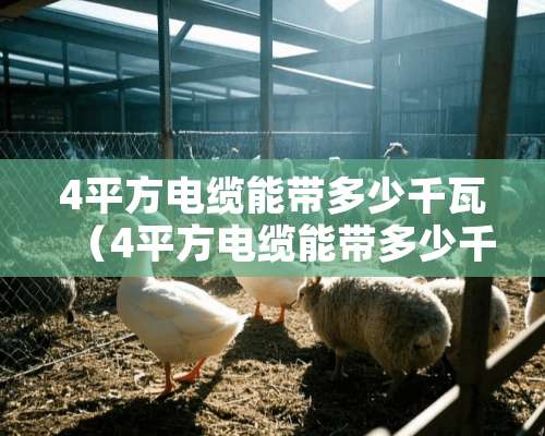 4平方电缆能带多少千瓦（4平方电缆能带多少千瓦负荷呢）