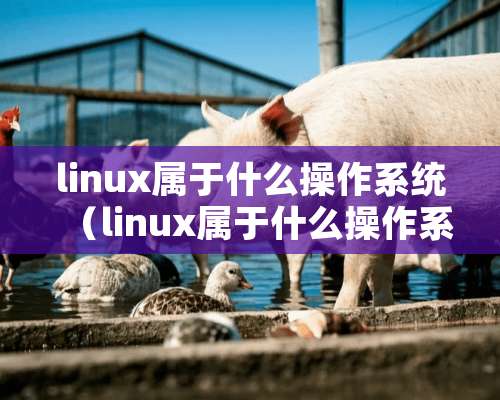 linux属于什么操作系统（linux属于什么操作系统软件）