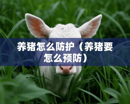 养猪怎么防护（养猪要怎么预防）