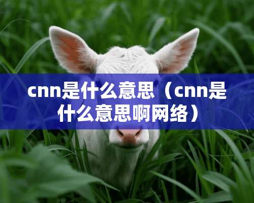 cnn是什么意思（cnn是什么意思啊网络）