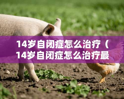 14岁自闭症怎么治疗（14岁自闭症怎么治疗最好）