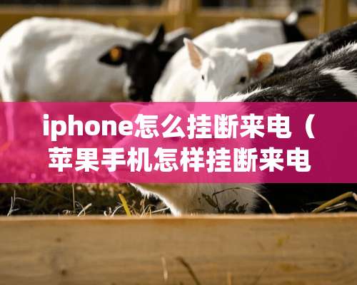 iphone怎么挂断来电（苹果手机怎样挂断来电电话）