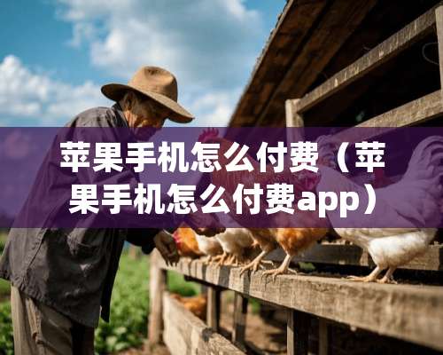 苹果手机怎么付费（苹果手机怎么付费app）