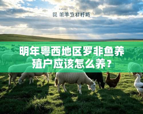 明年粤西地区罗非鱼养殖户应该怎么养？