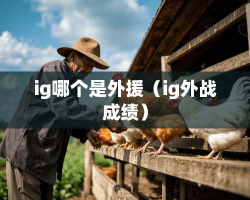 ig哪个是外援（ig外战成绩）