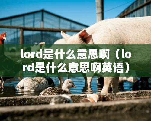 lord是什么意思啊（lord是什么意思啊英语）