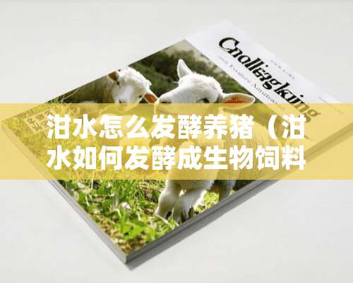 泔水怎么发酵养猪（泔水如何发酵成生物饲料）