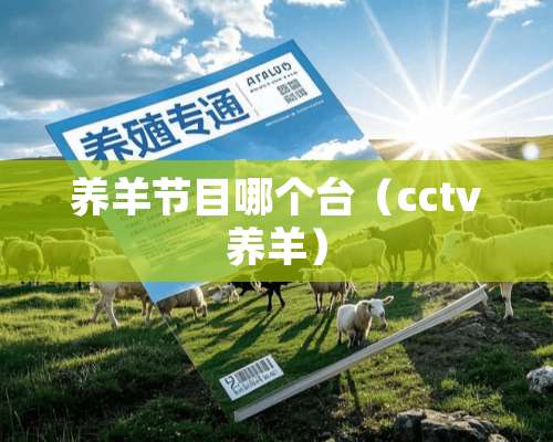 养羊节目哪个台（cctv养羊）