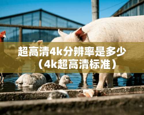 超高清4k分辨率是多少（4k超高清标准）