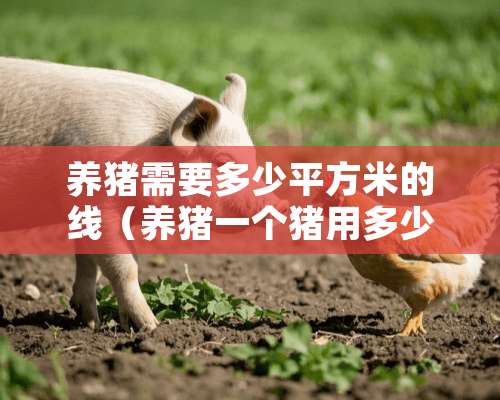 养猪需要多少平方米的线（养猪一个猪用多少平米）