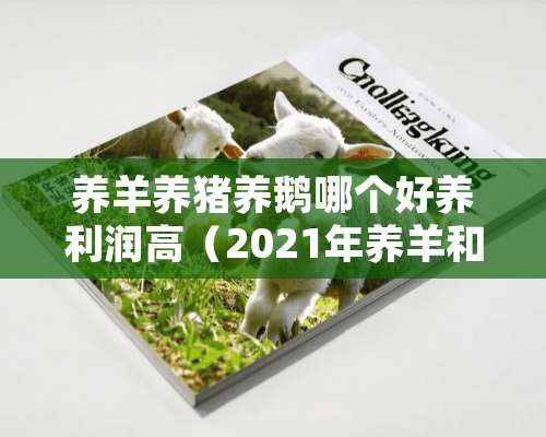 养羊养猪养鹅哪个好养利润高（2021年养羊和养猪哪个赚钱）