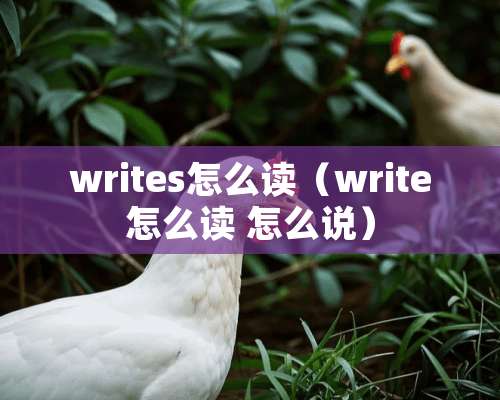 writes怎么读（write怎么读 怎么说）