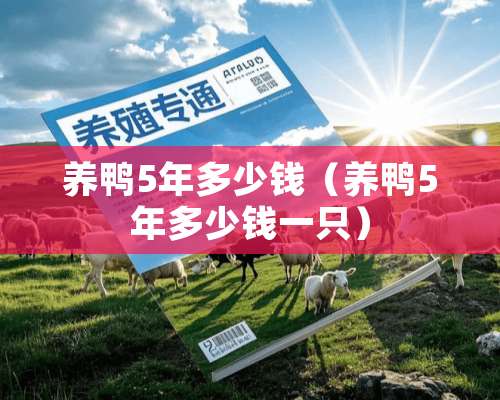 养鸭5年多少钱（养鸭5年多少钱一只）