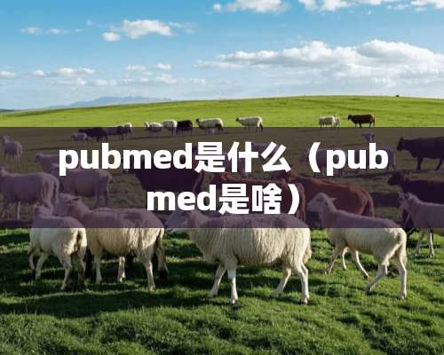 pubmed是什么（pubmed是啥）