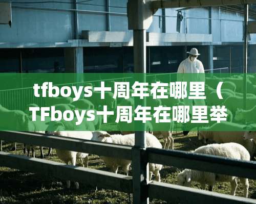 tfboys十周年在哪里（TFboys十周年在哪里举行）