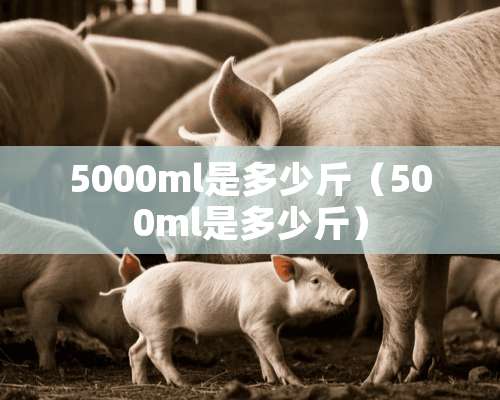 5000ml是多少斤（500ml是多少斤）