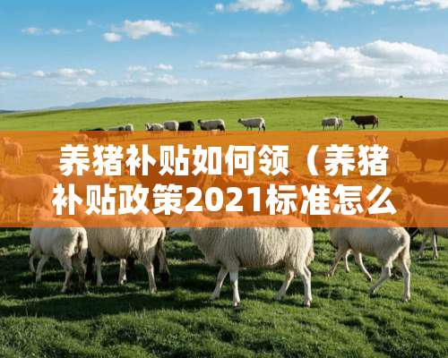 养猪补贴如何领（养猪补贴政策2021标准怎么申请）