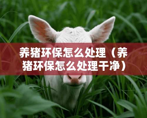 养猪环保怎么处理（养猪环保怎么处理干净）