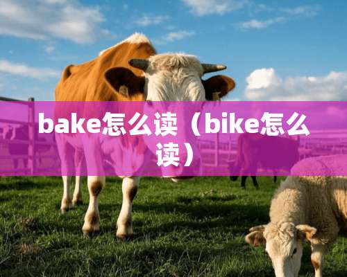 bake怎么读（bike怎么读）