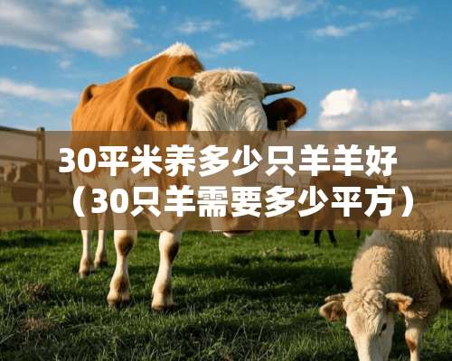 30平米养多少只羊羊好（30只羊需要多少平方）