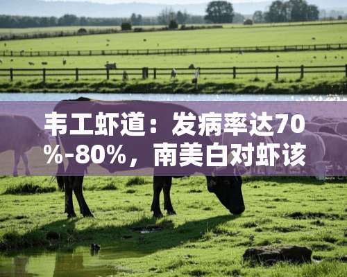 韦工虾道：发病率达70%-80%，南美白对虾该如何养？！