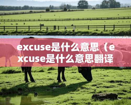 excuse是什么意思（excuse是什么意思翻译成中文）