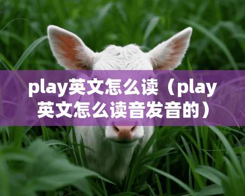 play英文怎么读（play英文怎么读音发音的）