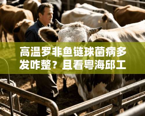 高温罗非鱼链球菌病多发咋整？且看粤海邱工总结的“321防控模式”