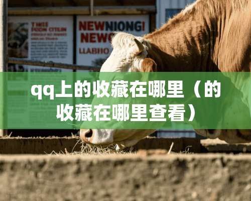 qq上的收藏在哪里（的收藏在哪里查看）