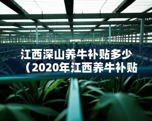 江西深山养牛补贴多少（2020年江西养牛补贴政策）