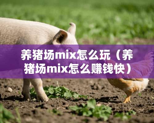 养猪场mix怎么玩（养猪场mix怎么赚钱快）