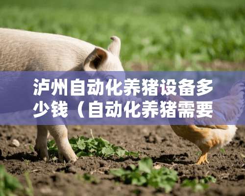 泸州自动化养猪设备多少钱（自动化养猪需要多少钱）