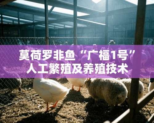 莫荷罗非鱼“广福1号”人工繁殖及养殖技术