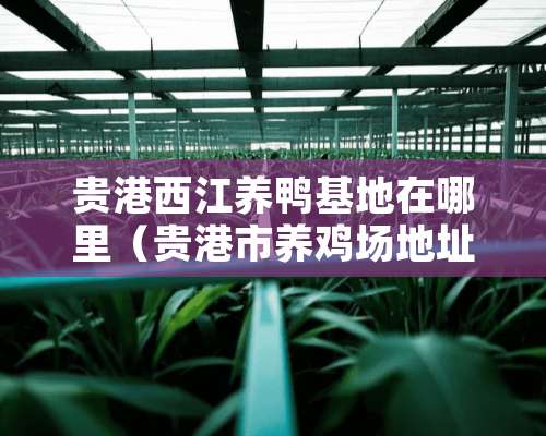 贵港西江养鸭基地在哪里（贵港市养鸡场地址联系电话）