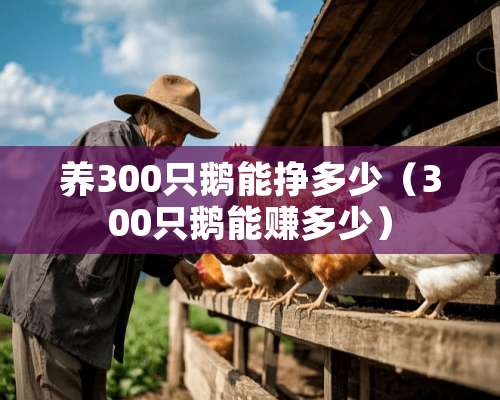 养300只鹅能挣多少（300只鹅能赚多少）