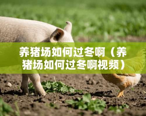 养猪场如何过冬啊（养猪场如何过冬啊视频）