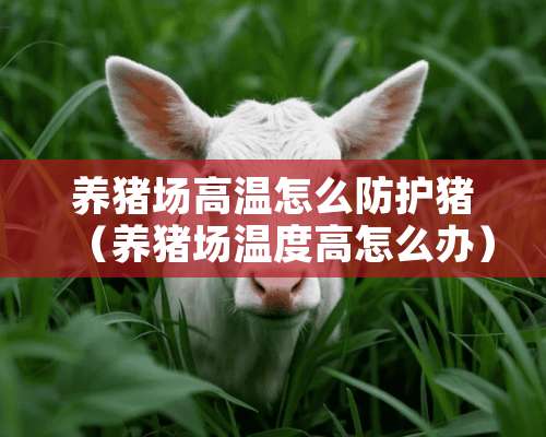 养猪场高温怎么防护猪（养猪场温度高怎么办）