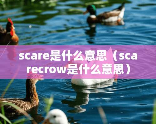 scare是什么意思（scarecrow是什么意思）